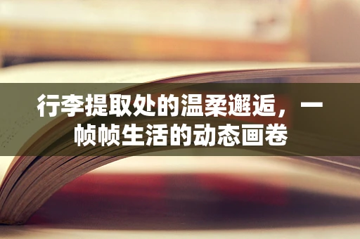 行李提取处的温柔邂逅，一帧帧生活的动态画卷