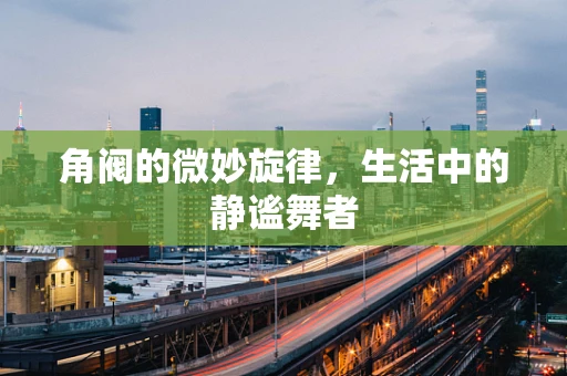 角阀的微妙旋律，生活中的静谧舞者