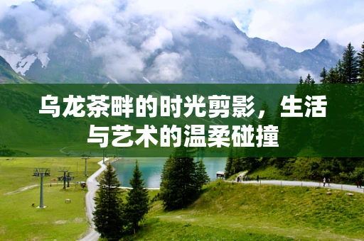 乌龙茶畔的时光剪影，生活与艺术的温柔碰撞