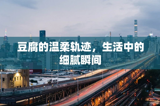 豆腐的温柔轨迹，生活中的细腻瞬间