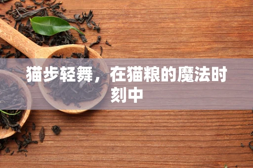 猫步轻舞，在猫粮的魔法时刻中