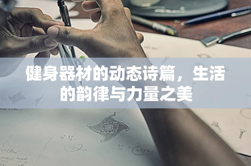 健身器材的动态诗篇，生活的韵律与力量之美