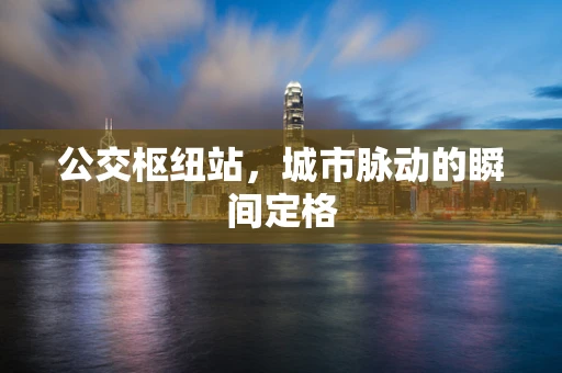 公交枢纽站，城市脉动的瞬间定格