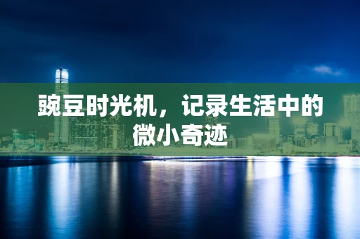 豌豆时光机，记录生活中的微小奇迹