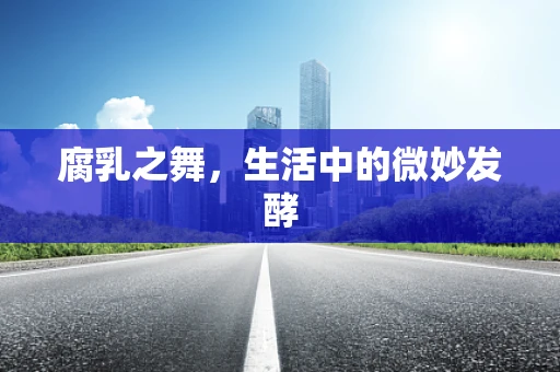 腐乳之舞，生活中的微妙发酵