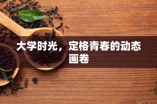 大学时光，定格青春的动态画卷