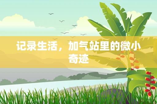 记录生活，加气站里的微小奇迹