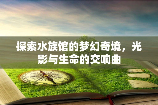 探索水族馆的梦幻奇境，光影与生命的交响曲