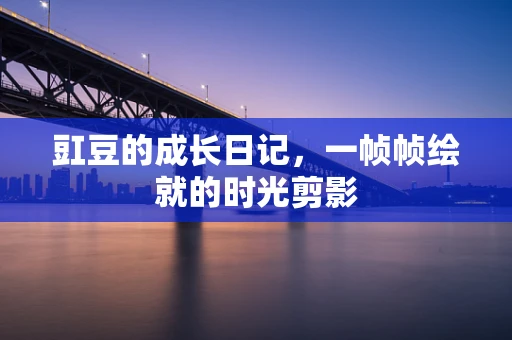 豇豆的成长日记，一帧帧绘就的时光剪影