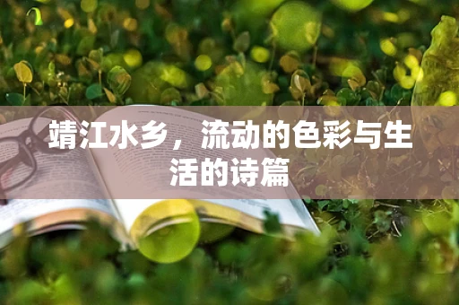 靖江水乡，流动的色彩与生活的诗篇