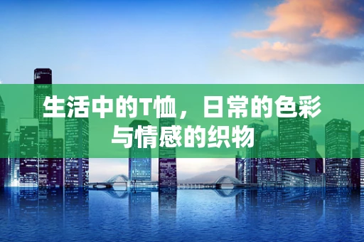 生活中的T恤，日常的色彩与情感的织物