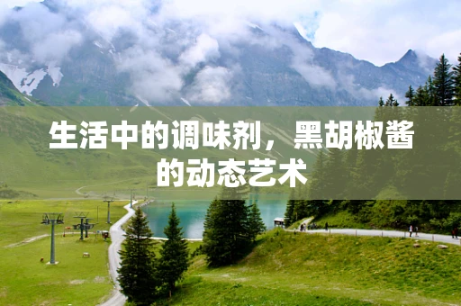 生活中的调味剂，黑胡椒酱的动态艺术