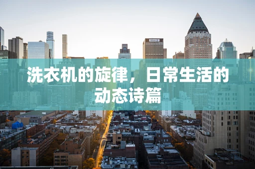 洗衣机的旋律，日常生活的动态诗篇