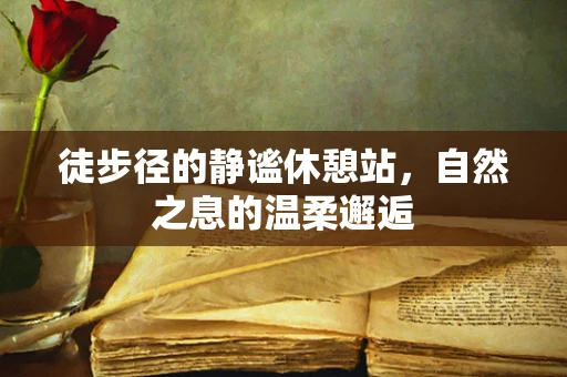 徒步径的静谧休憩站，自然之息的温柔邂逅