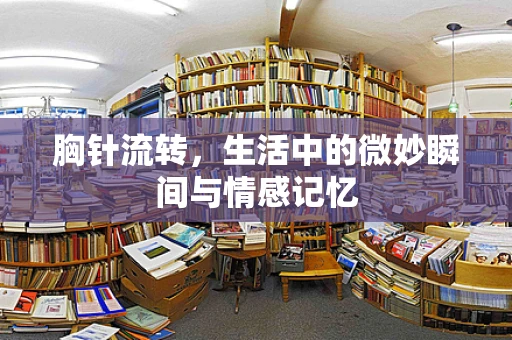胸针流转，生活中的微妙瞬间与情感记忆