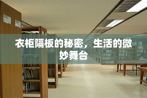 衣柜隔板的秘密，生活的微妙舞台
