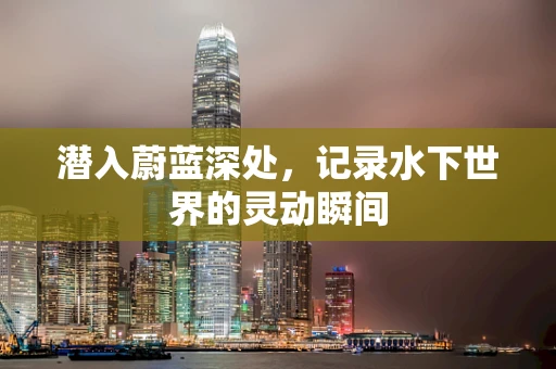 潜入蔚蓝深处，记录水下世界的灵动瞬间