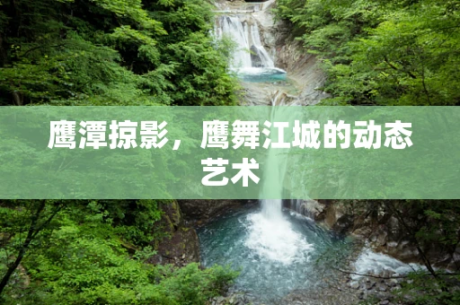 鹰潭掠影，鹰舞江城的动态艺术