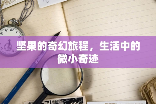 坚果的奇幻旅程，生活中的微小奇迹