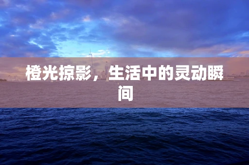 橙光掠影，生活中的灵动瞬间
