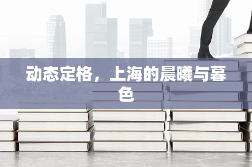 动态定格，上海的晨曦与暮色