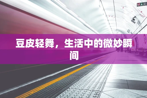 豆皮轻舞，生活中的微妙瞬间