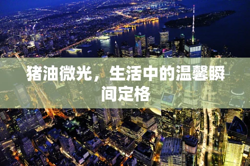 猪油微光，生活中的温馨瞬间定格