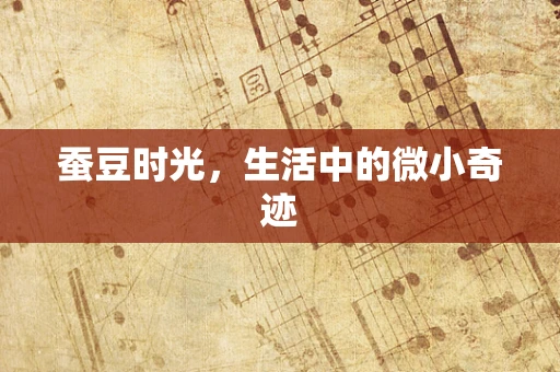 蚕豆时光，生活中的微小奇迹