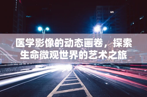 医学影像的动态画卷，探索生命微观世界的艺术之旅