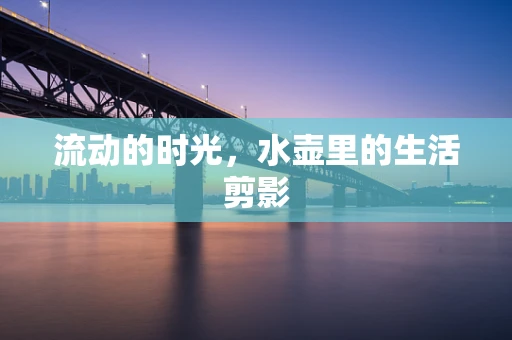 流动的时光，水壶里的生活剪影