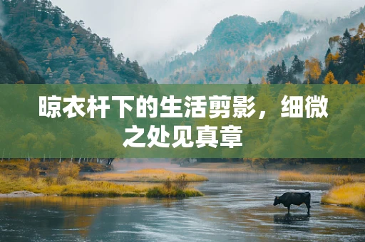 晾衣杆下的生活剪影，细微之处见真章