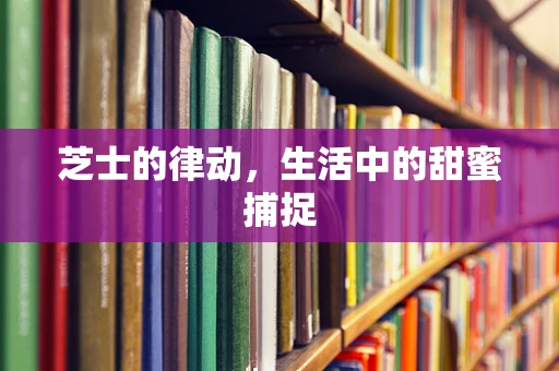 芝士的律动，生活中的甜蜜捕捉
