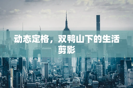 动态定格，双鸭山下的生活剪影