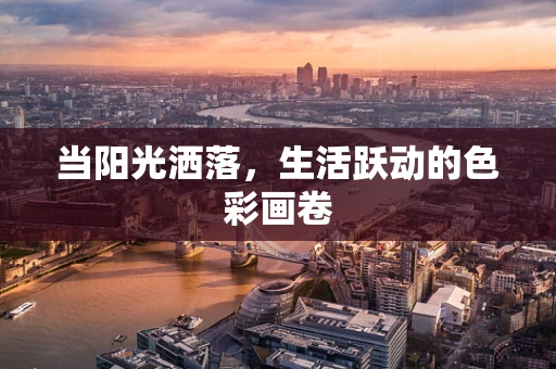 当阳光洒落，生活跃动的色彩画卷