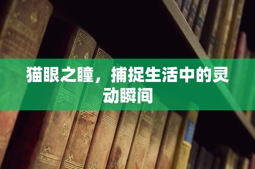 猫眼之瞳，捕捉生活中的灵动瞬间
