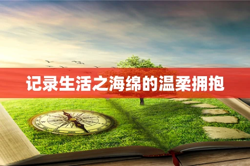 记录生活之海绵的温柔拥抱
