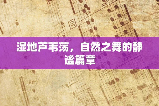 湿地芦苇荡，自然之舞的静谧篇章
