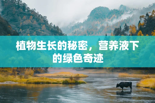 植物生长的秘密，营养液下的绿色奇迹