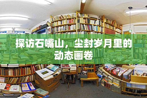 探访石嘴山，尘封岁月里的动态画卷