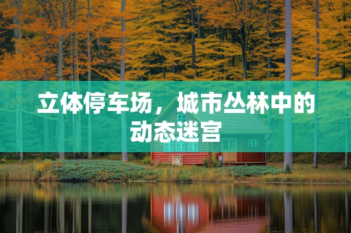 立体停车场，城市丛林中的动态迷宫