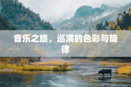音乐之旅，巡演的色彩与旋律