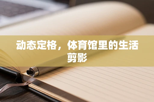 动态定格，体育馆里的生活剪影