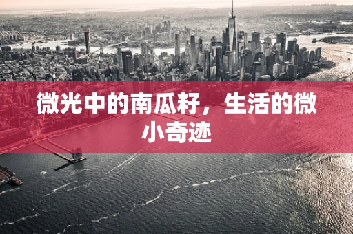 微光中的南瓜籽，生活的微小奇迹