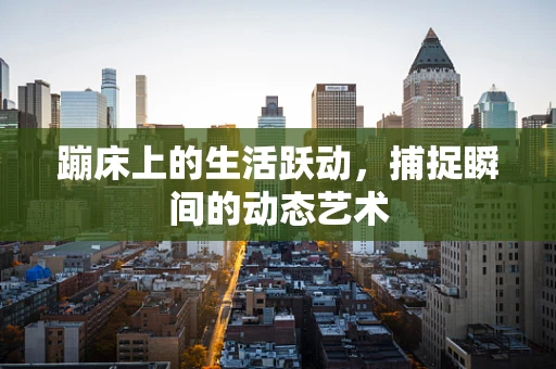 蹦床上的生活跃动，捕捉瞬间的动态艺术