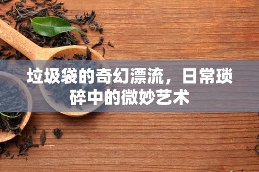 垃圾袋的奇幻漂流，日常琐碎中的微妙艺术