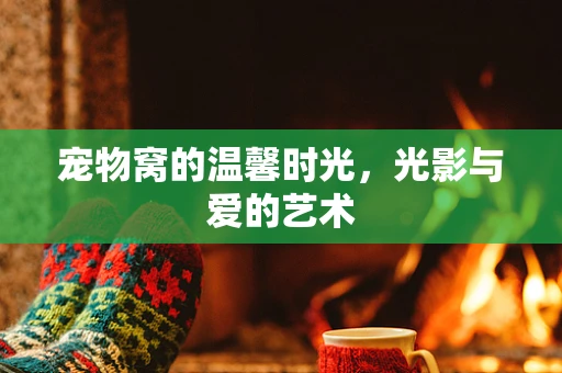 宠物窝的温馨时光，光影与爱的艺术