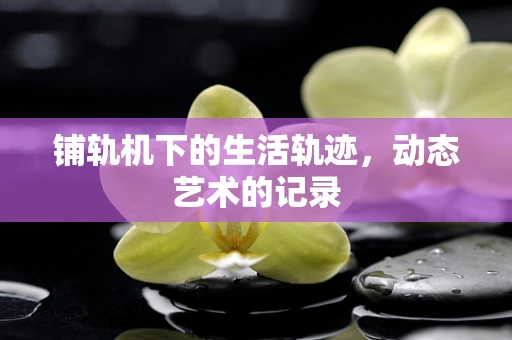 铺轨机下的生活轨迹，动态艺术的记录