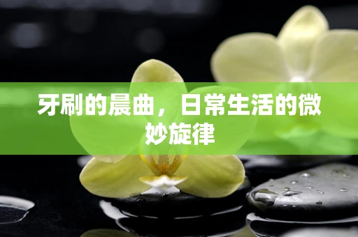 牙刷的晨曲，日常生活的微妙旋律