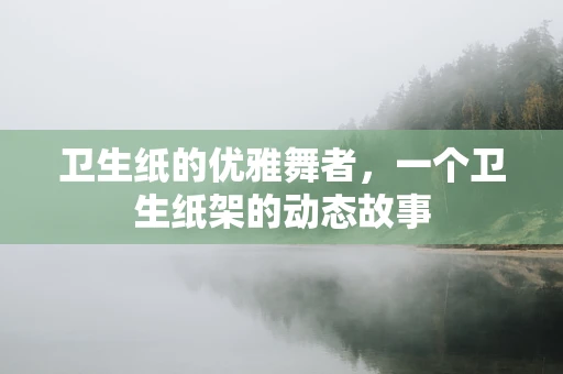 卫生纸的优雅舞者，一个卫生纸架的动态故事