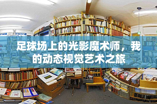 足球场上的光影魔术师，我的动态视觉艺术之旅